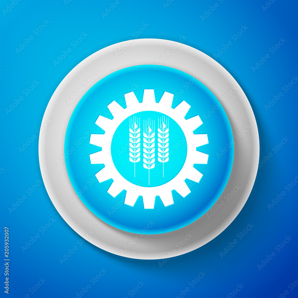 Wheat and gear icon isolated on blue background. Agriculture symbol with cereal grains and industrial gears. Industrial and agricultural. Biotechnology concept. Circle blue button. Vector Illustration