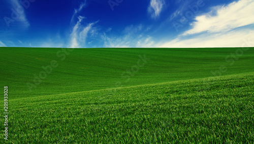 Abstract natural idyllic background with green grass and cloudy blue sky