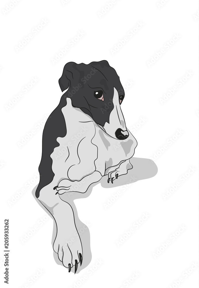 dog lies, vector dog lies, vector