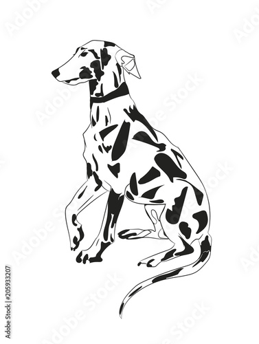 dog sitting  lines  vector