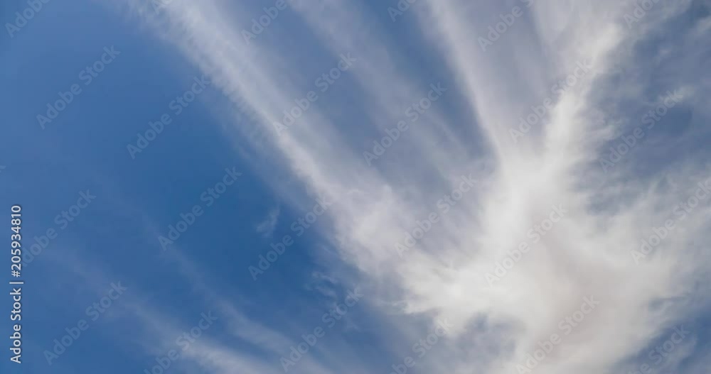 White clouds, leaves the sky beyond the horizon White clouds, leaves the sky beyond the horizon