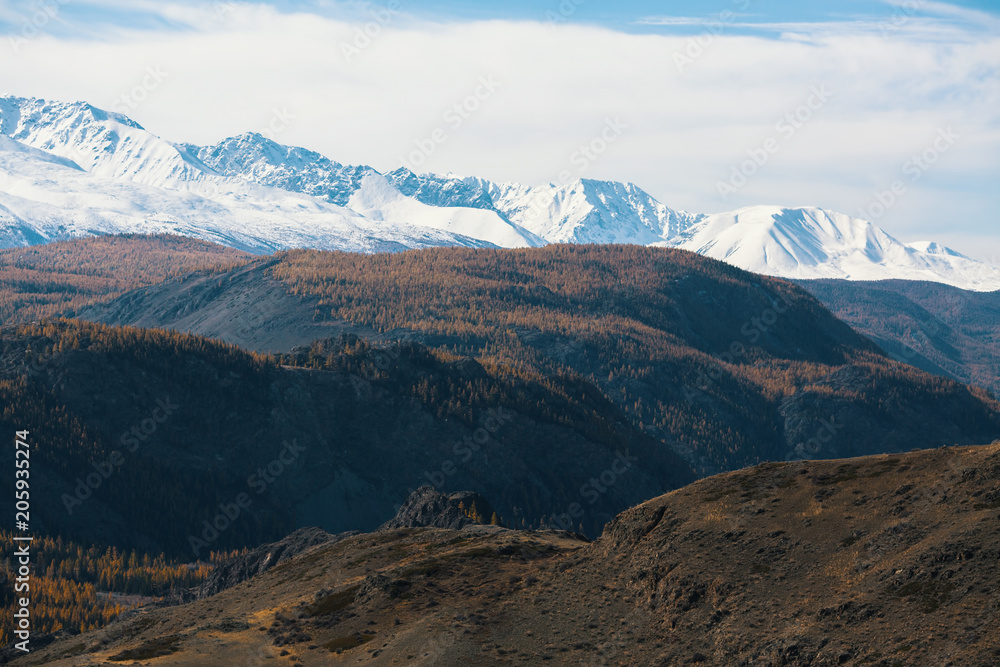 Landscape of the Altai mountains. Altai Republic, Russia. Landscape of the Altai mountains. Altai Republic, Russia.