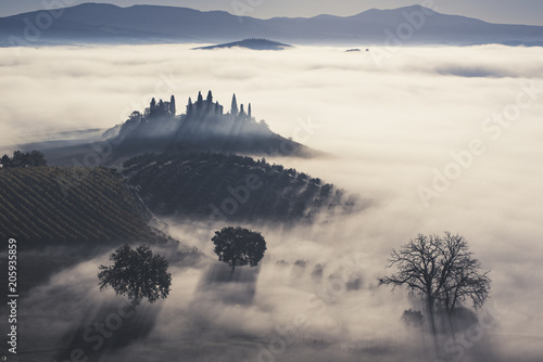 Beautiful foggy sunrise in Tuscany, Italy with vineyard and trees. Natural misty background