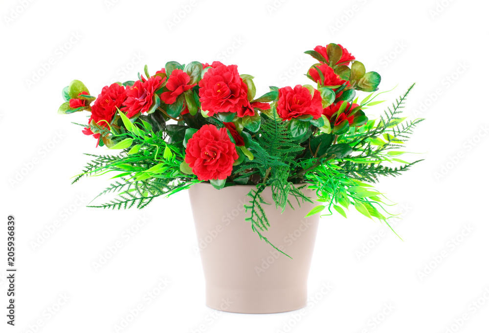 Flowers in vase Flowers in vase