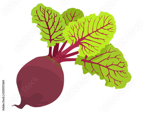 Rote Beete