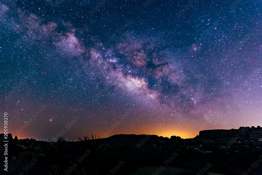 Fototapeta premium Joshua Tree - Milky Way - 5-15-18