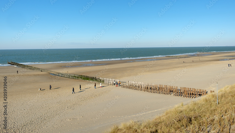 Typical groynes on the beach of Domburg as seen from the sand dunes of Domburg, the Netherlands.