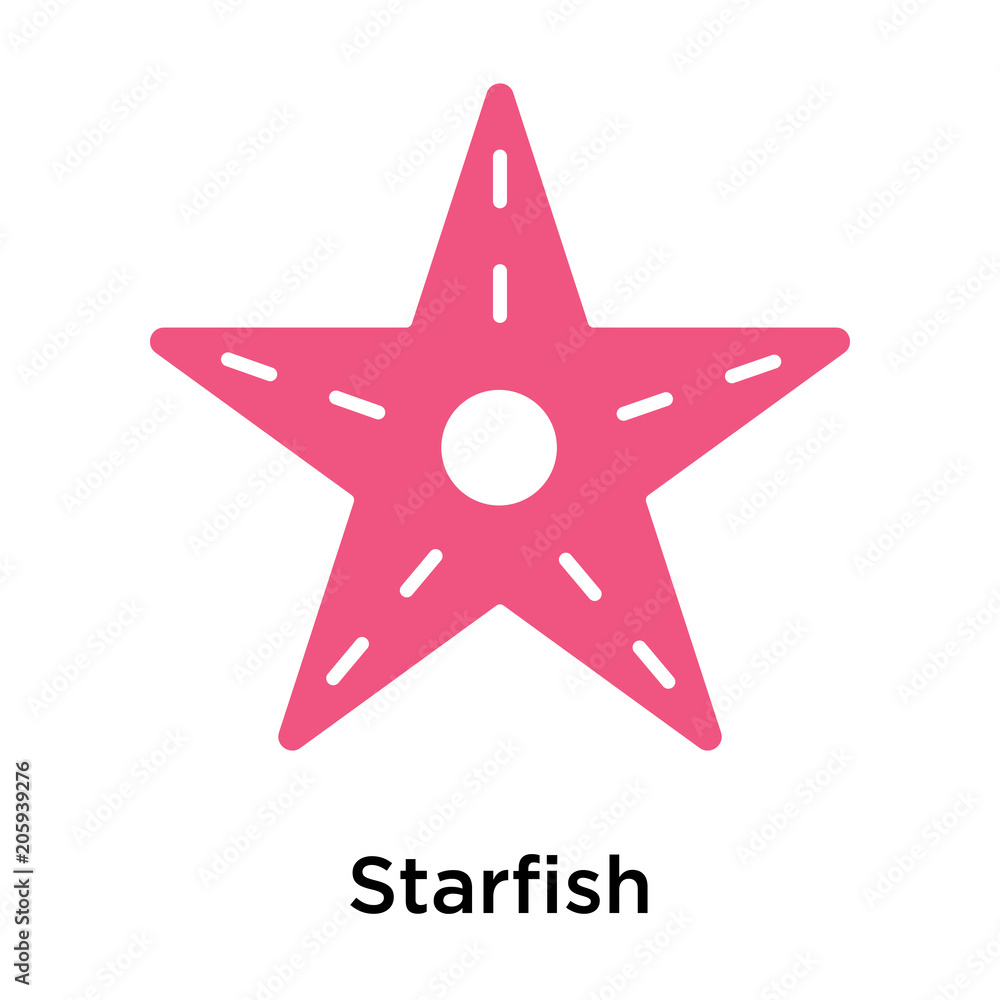Fototapeta premium Starfish icon vector sign and symbol isolated on white background
