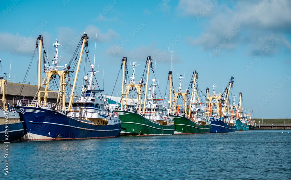 Oudeschild harbor  with docked fishing boats in Texel, the Netherlands.