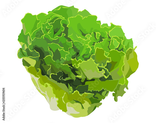 Salat