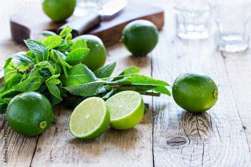 Ingredients for making summer drink mojito