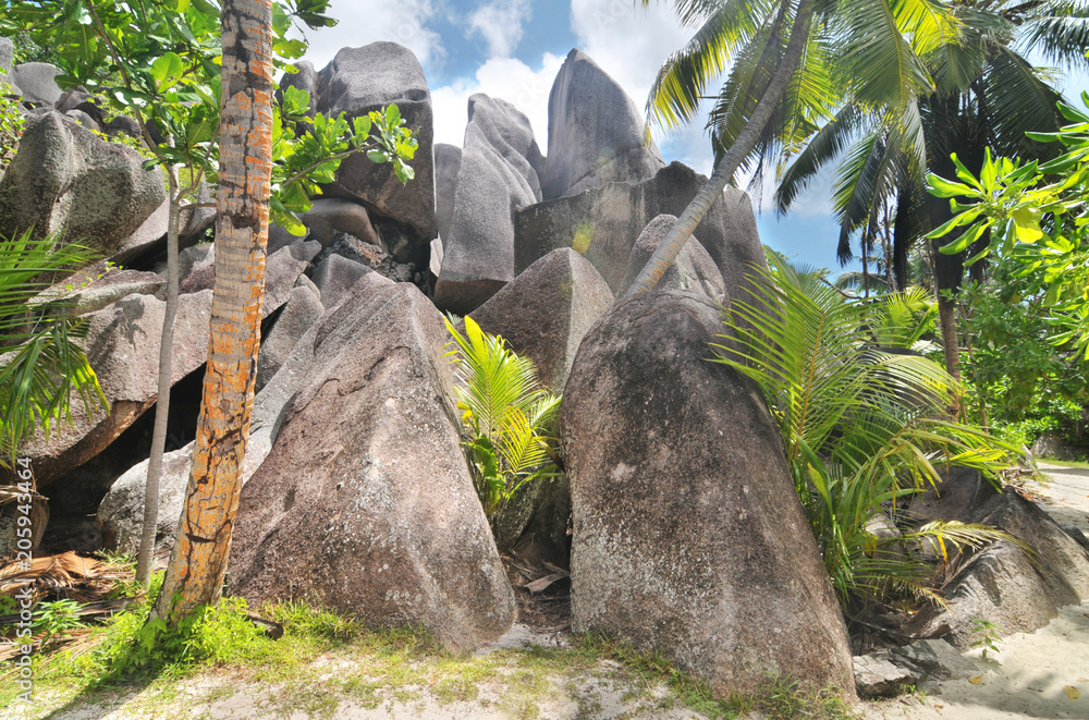Granite rock formations on beaches of the island La Digue , Seychelles
 - obrazy, fototapety, plakaty 
