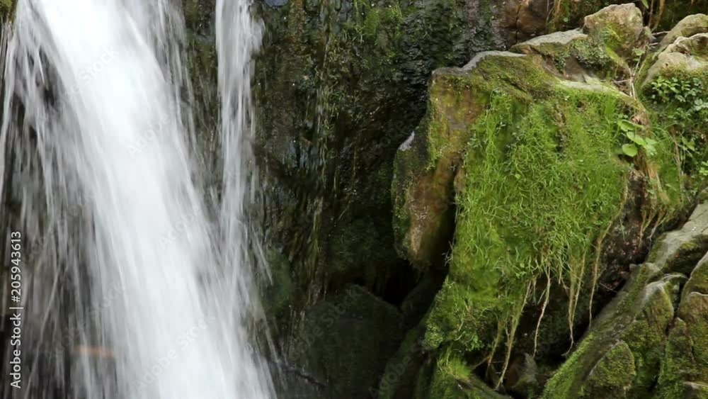 view of Kamianetskyi waterfall is located on the Kamianka river, national park Skolevski beskidy, Lviv region of Western Ukraine view of Kamianetskyi waterfall is located on the Kamianka river, national park Skolevski beskidy, Lviv region of Western Ukraine