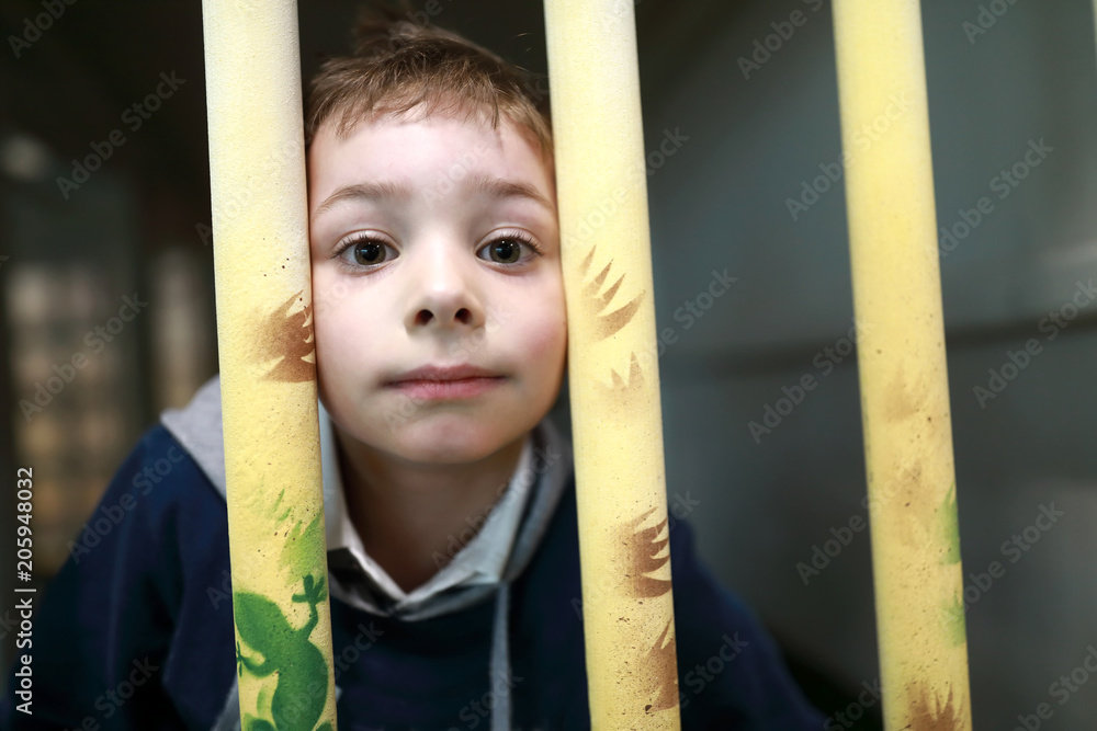 Fototapeta premium Child in toy cage