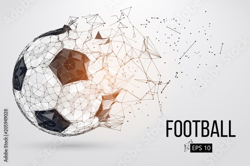 silhouette of a football ball. Vector illustration