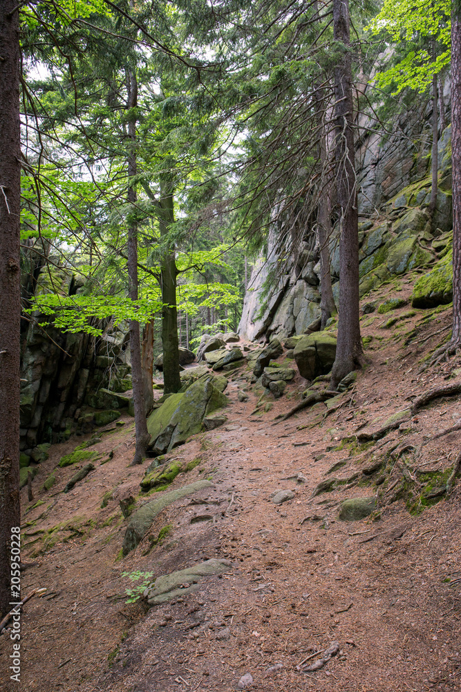 healthy way of life.walk in the mountains.Old stones. healthy way of life.walk in the mountains.Old stones.