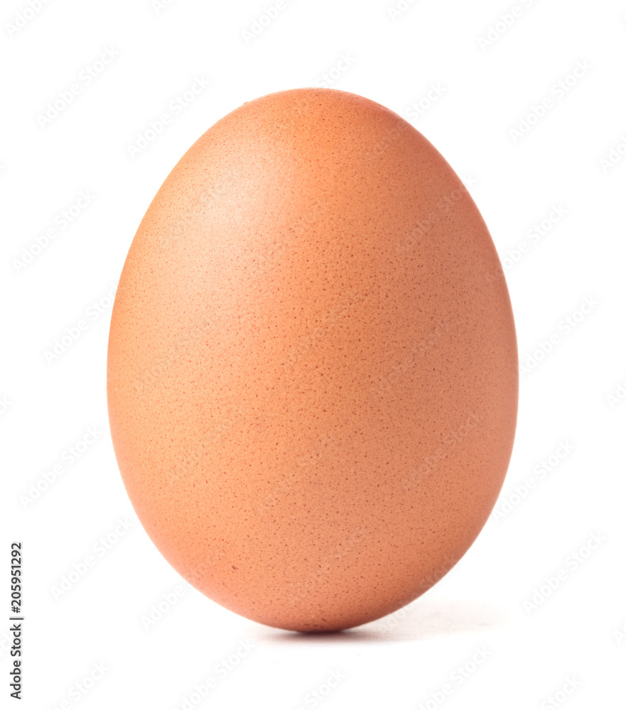 Fotografia single chicken egg isolated on white background