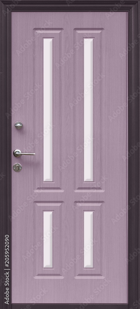 The model of the entrance metal door (isolated) The model of the entrance metal door (isolated)