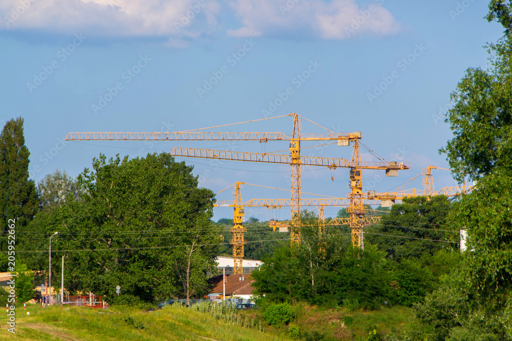 Cranes in the shipyard
