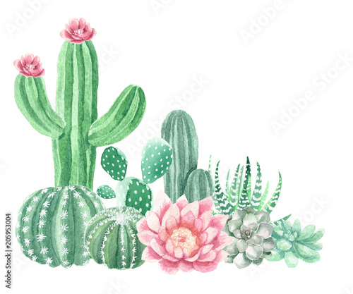 Canvas-taulu Watercolor Cactus and Succulents