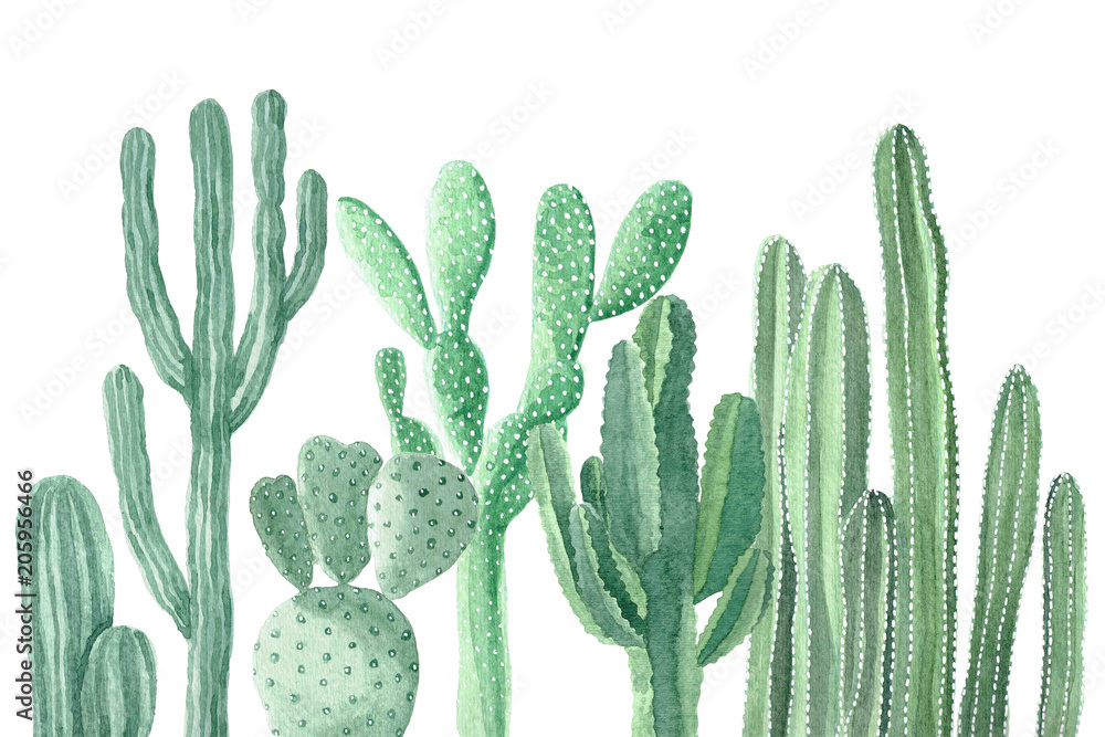 Watercolor Cactus and Succulents - obrazy, fototapety, plakaty 