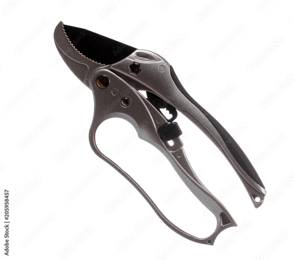 Obraz premium Garden pruner