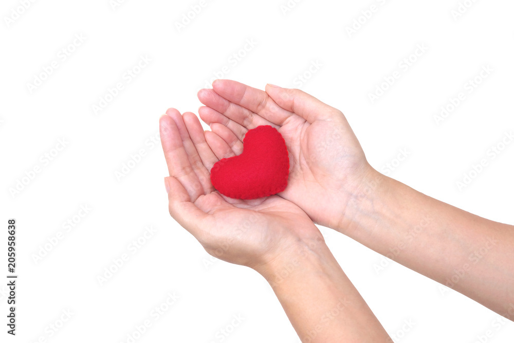 Female hand holding a red heart isolated on white background Female hand holding a red heart isolated on white background