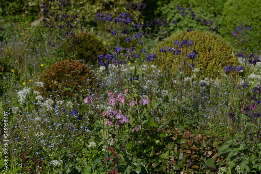 Garten Natur Umwelt Thema im Sommer