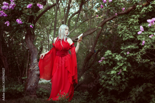 Portrait of a beautiful elf woman in a red dress in a fairy forest.