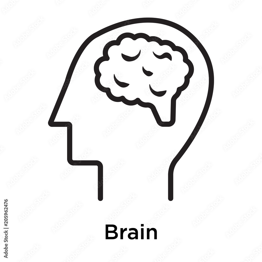 Brain icon vector sign and symbol isolated on white background Brain icon vector sign and symbol isolated on white background