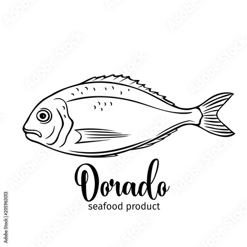 Vector dorado fish.