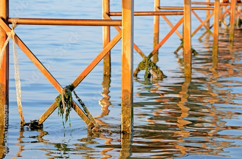Romagna, Italy, Adriatic Sea, wooden poles in the seawater of a jetty
