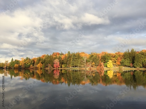 Fall Colors at sunset