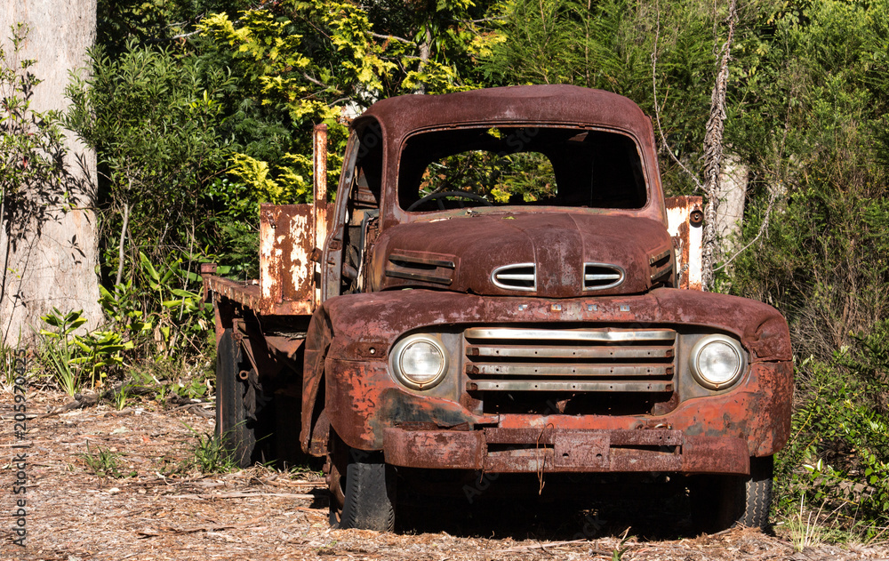 Vintage abandoned rusty farm truck ute against green trees