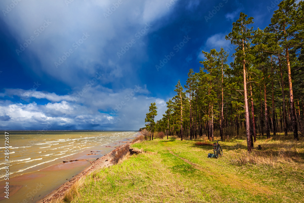 Fototapeta premium Coast of the Ob river. Novosibirsk region, Siberia, Russia