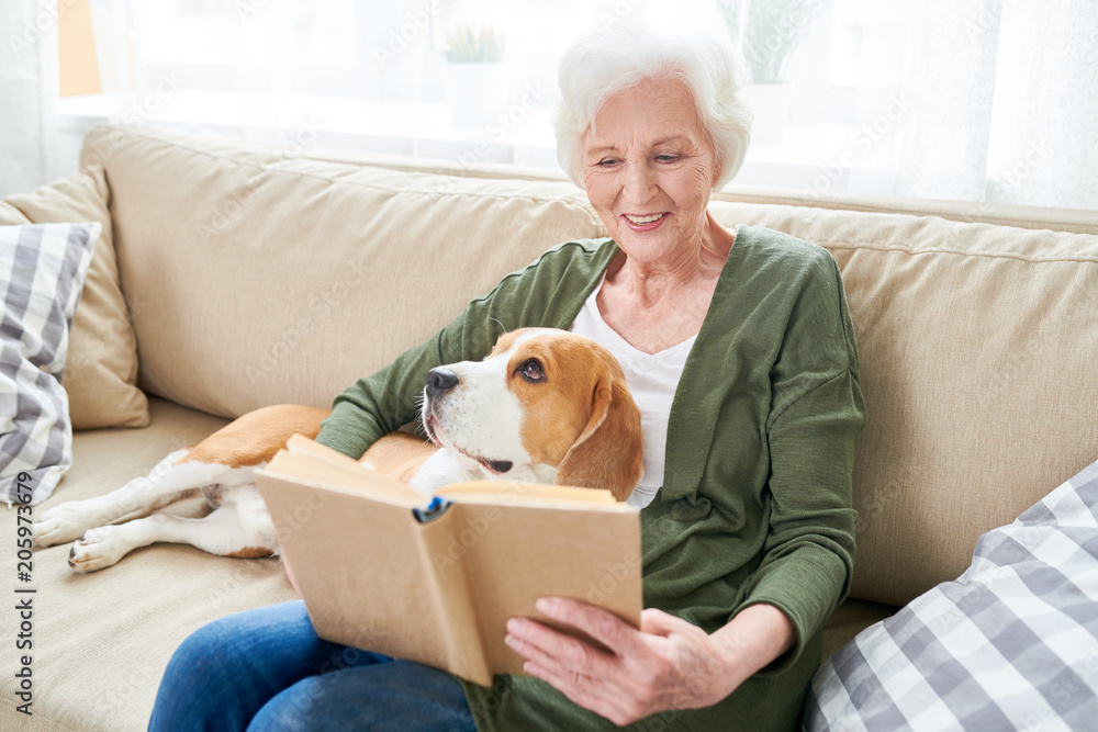 Portrait of happy senior woman enjoying leisure time at home sitting on comfortable couch with pet dog in her lap and reading books Portrait of happy senior woman enjoying leisure time at home sitting on comfortable couch with pet dog in her lap and reading books