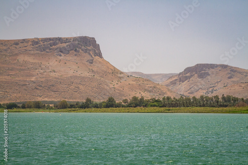 The Coast of the Sea of Galilee, Israel photo