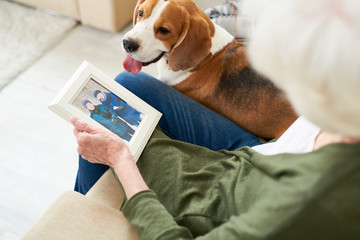 High angle portrait of unrecognizable senior woman holding photograph and remembering husband while sitting in comfortable armchair at home with her dog photo in frame by me .