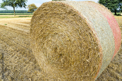 Golden grain field with straw bales