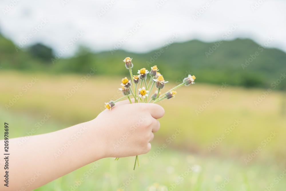 Child hand holding a flower, toned photo. Focus for flowers. Background toning for instagram filter.