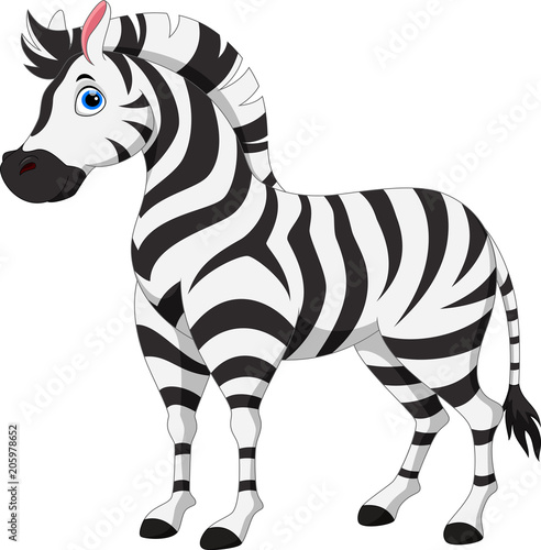 Cute zebra cartoon isolated on white background