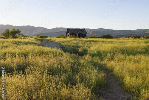 Abandoned wood cabin in Dead Horse Ranch State Park, Arizona
