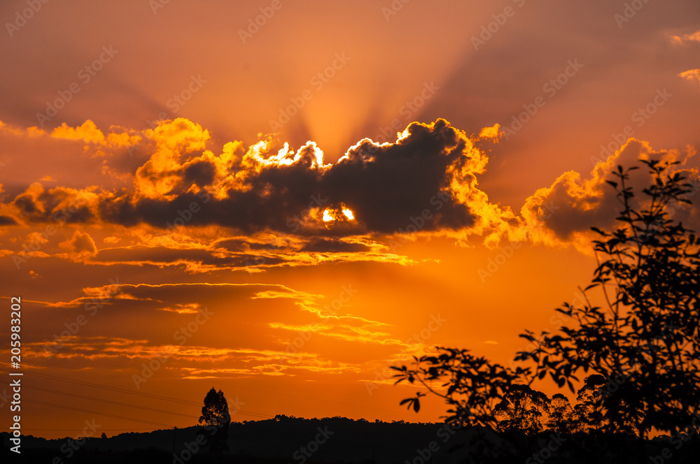 Fototapeta premium Autumn