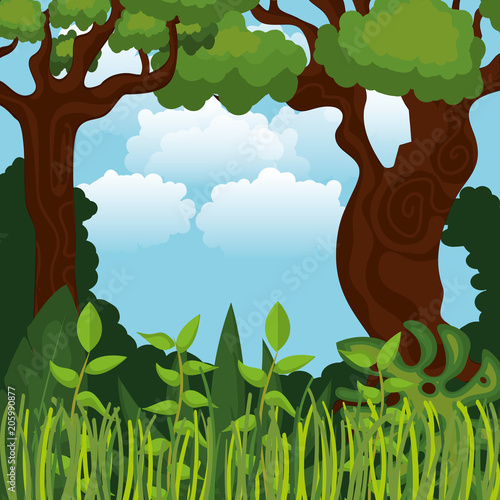 rainforest jungle natural scene vector illustration design