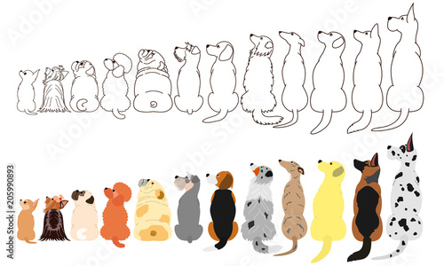 many dogs looking up sideways in a row