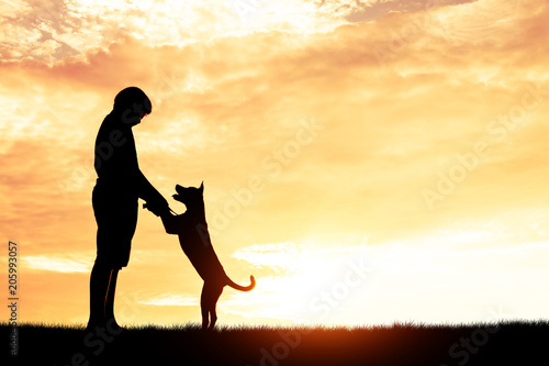 Silhouette child playing with dogs  Concept play with dog.