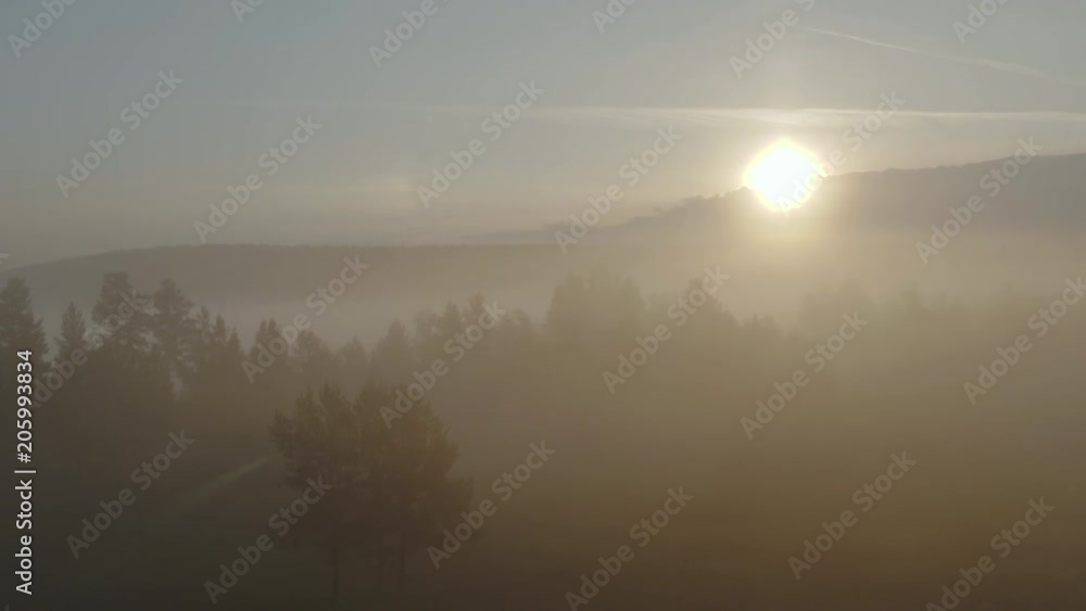 Aerial view - Flying over dense pine forest and fog. Beautiful landscape of the forest under clouds 4k Aerial view - Flying over dense pine forest and fog. Beautiful landscape of the forest under clouds 4k