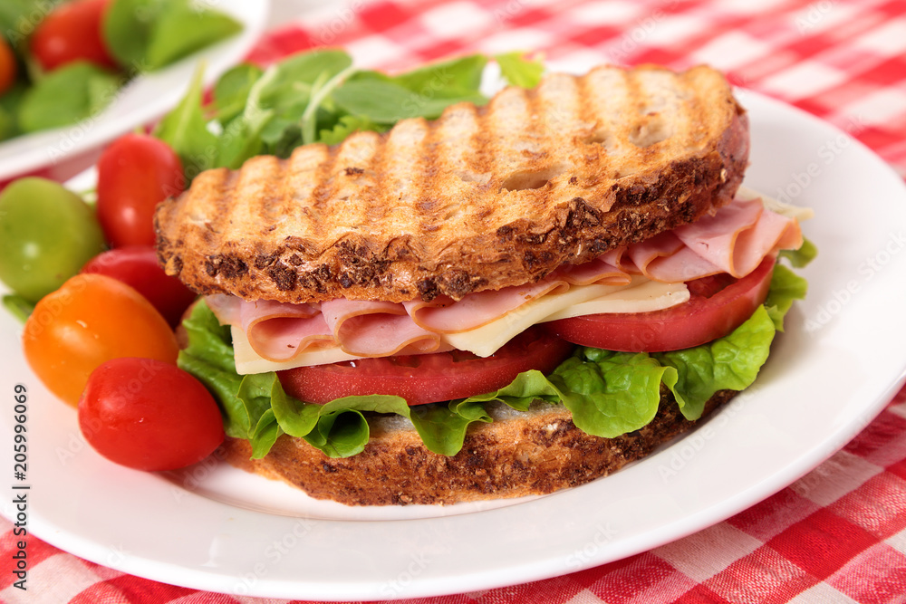 Picnic toasted ham and cheese sandwich with cherry toamatoes Picnic toasted ham and cheese sandwich with cherry toamatoes