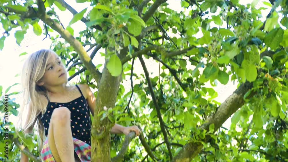 Child girl playing climbing on a tree in a summer park outdoor. Concept of healthy play and development of the child in nature
Child girl playing climbing on a tree in a summer park outdoor. Concept of healthy play and development of the child in nature