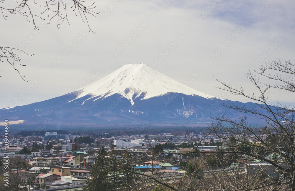 Magnifique vue sur le Mont Fuji au printemps depuis la Chureito Pagoda